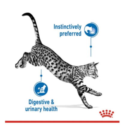 Royal Canin Adult Indoor Sterilised Salsa Gravy Wet Cat Food - 85g