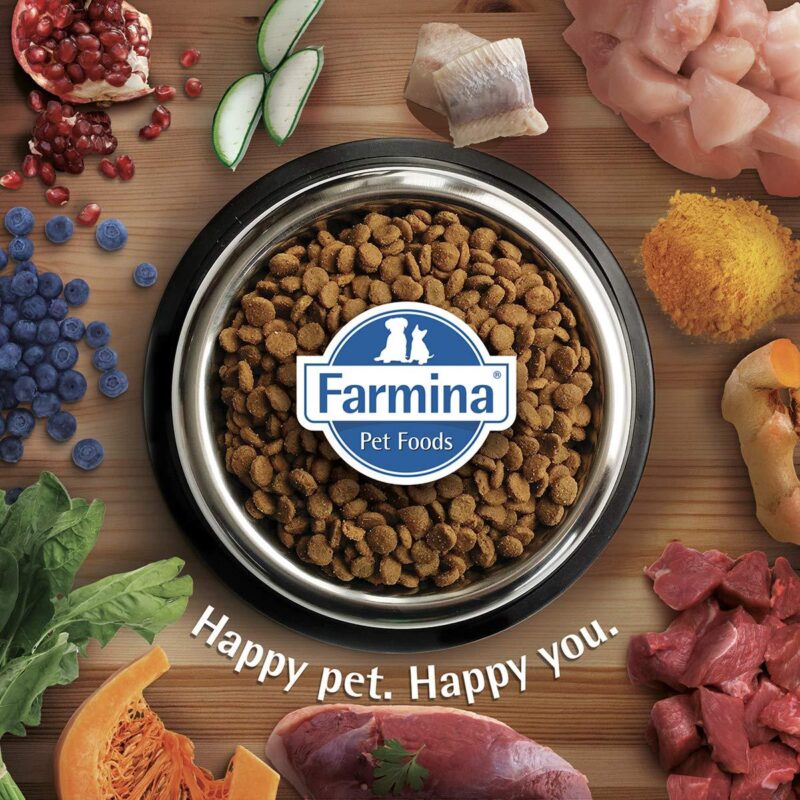 Farmina Vet Life GastroIntestinal Dry Cat Food - 2 Kg - Image 4