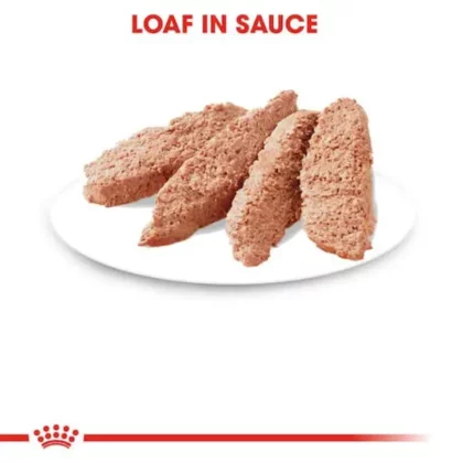 Royal Canin Instinctive Loaf Adult Wet Cat Food