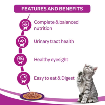 Whiskas Ocean Fish in Gravy Adult (+1 year) Wet Cat Food - 80g