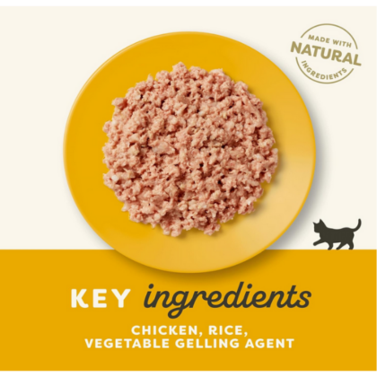 Applaws Chicken Breast Wet Kitten Food - 70 g