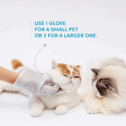 Barkbutler X Fofos Waterless Wash Gloves for Cat