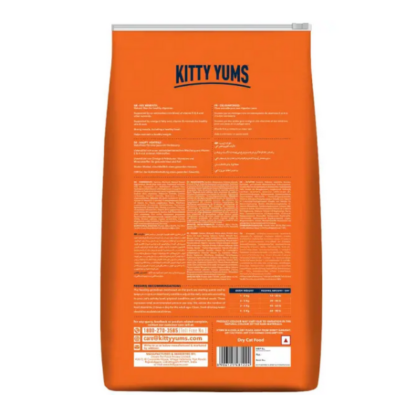 Kitty Yums Ocean Fish Adult Dry Cat Food