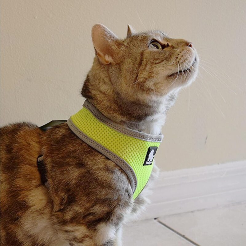 Barkbutler Truelove Cat Harness