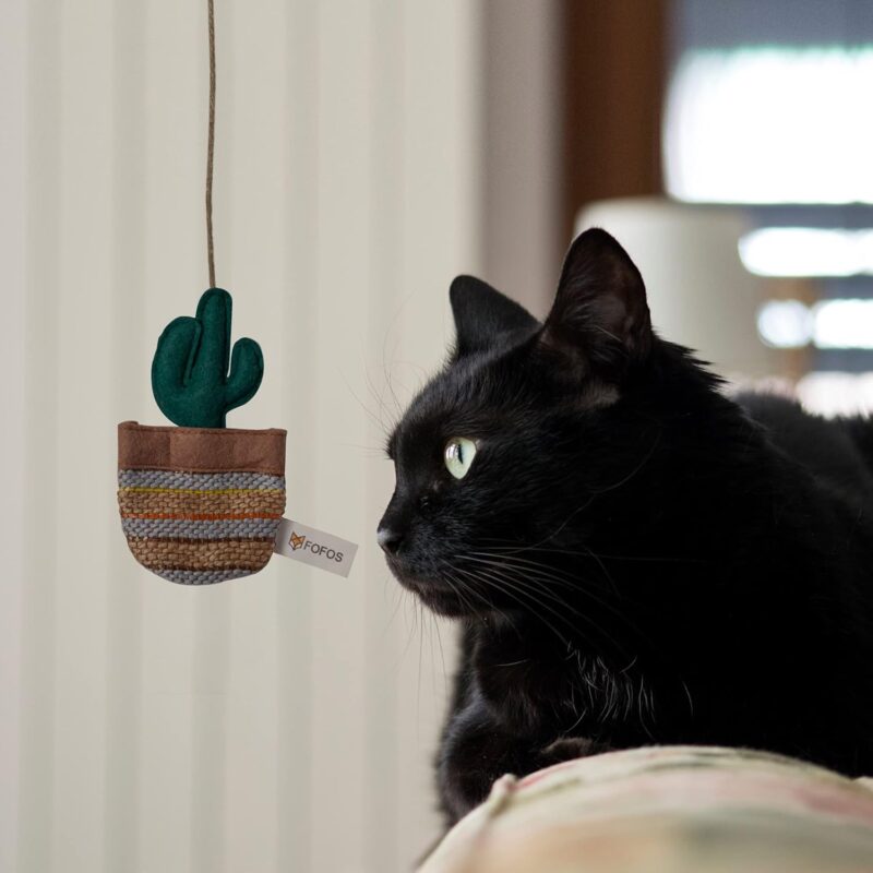Barkbutler x Fofos Cactus Austin Stick Cat Teaser Plush Toy - Image 4