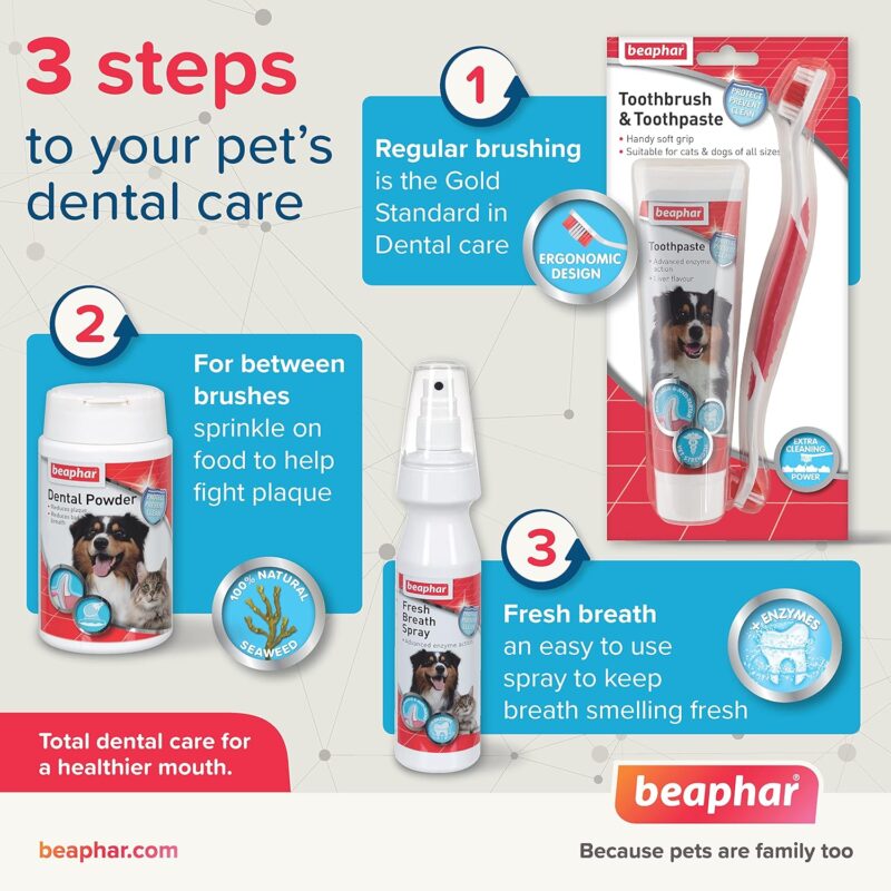Beaphar Double Action Cat Tooth Paste - 100g
