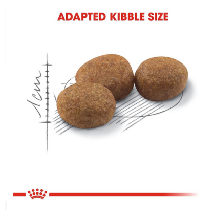 Royal Canin Regular Sterilised Adult Dry Cat Food
