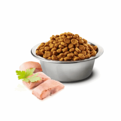 Farmina N&D Ocean Herring & Orange Dry Cat Food