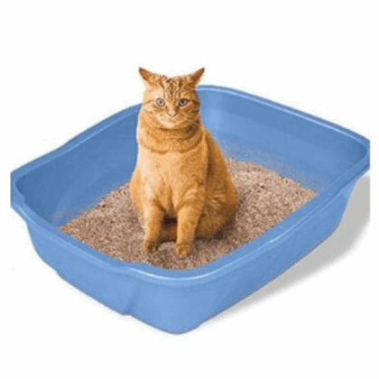 Best Clean Cat Litter Lemon - 5 Kg